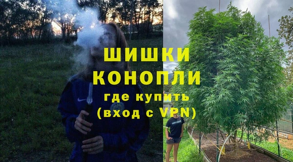 spice Домодедово