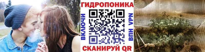 Канабис сатива  где найти наркотики  Абдулино 